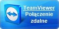 usługi IT Team viewer